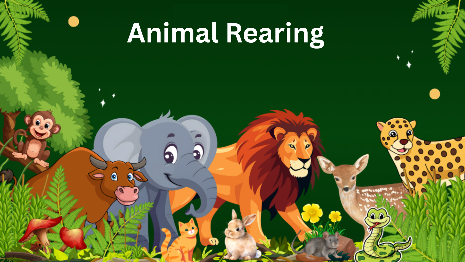 Animal Rearing